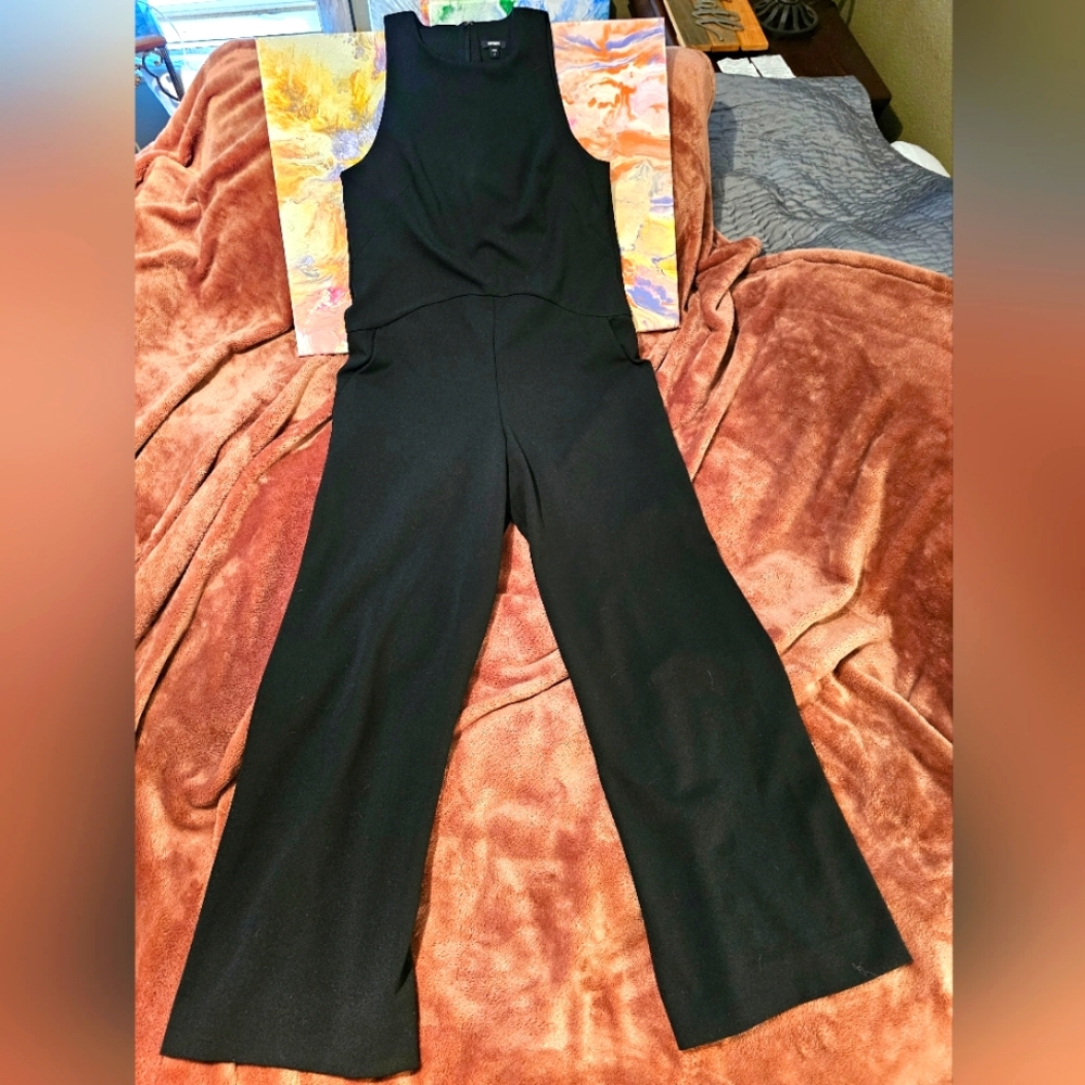 Black Sleeveless Jumpsuit from Express
